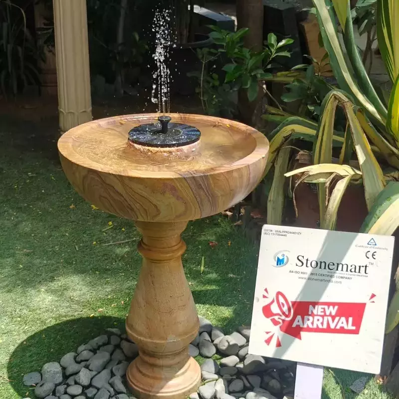 Tips and Practices to Elevate your Bird Bath Utility this Summer